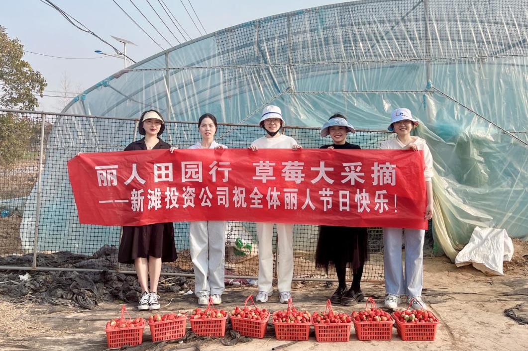 新滩投资公司发展&ldquo;三八&rdquo;妇女节草莓采摘活动.jpg