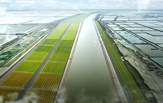 新生河生态廊路.jpg